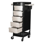 Kirpyklinis vežimėlis Gabbiano FT65, juodas-baltas