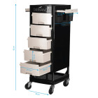 Kirpyklinis vežimėlis Gabbiano FT65, juodas-baltas