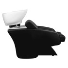 Kirpyklinė plautuvė Hair System C38 juoda