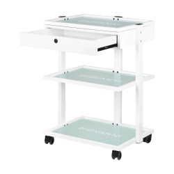 Kosmetologinis staliukas Giovanni 1040A, metalinis