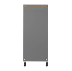 Kirpyklinis vežimėlis Gabbiano Solo – pilkas, elegantiškas