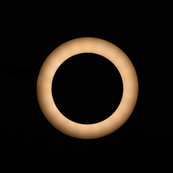 Stalinė LED lempa-lupa Snake Ring juoda salonams