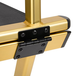 Aukso spalvos makiažo kėdė ALU profesionaliam naudojimui