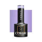 Hibridinis gelinis lakas Ocho 402 violetinis – 5 g