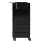 Kirpyklinis vežimėlis Gabbiano 68B juodas