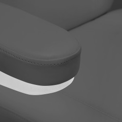 Elektrinis kosmetologinis krėslas Sillon Classic pilkas