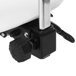 Balno tipo kėdė Giovanni 1004 balta–auksinė