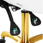 Balno tipo kėdė Giovanni 1004 balta–auksinė