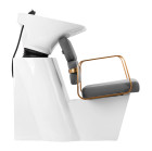 Kirpyklinė plautuvė Gabbiano Porto pilka auksinė