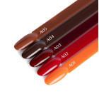 Hibridinis gelinis lakas Ocho Autumn A02