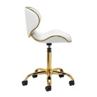 Gabbiano Q-4599G – elegancija, komfortas ir ergonomika profesionalui