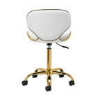 Gabbiano Q-4599G – elegancija, komfortas ir ergonomika profesionalui