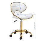 Gabbiano Q-4599G – elegancija, komfortas ir ergonomika profesionalui