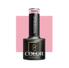 Hibridinis gelinis lakas Ocho W05, 5 g