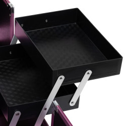 Lagaminas kosmetikai SC40, rožinis