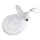 Stalinė LED lempa-lupa BSL-06 5 dpi, balta