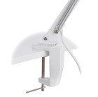 Stalinė LED lempa-lupa BSL-06 5 dpi, balta