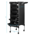 Kirpyklinis vežimėlis Gabbiano FX11-5 juodas