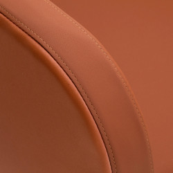 Kirpyklinė plautuvė Gabbiano Elda ruda salonams