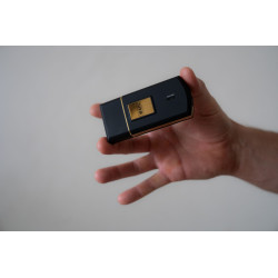 Wahl 07057-016 Travel Shaver Gold barzdaskutė