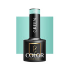 Hibridinis gelinis lakas Ocho Green 701