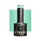 Hibridinis gelinis lakas Ocho Rainbow R10