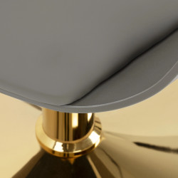 Kirpyklinė kėdė Hair System Halo, pilka-auksinė