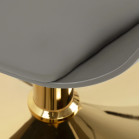 Kirpyklinė kėdė Hair System Halo, pilka-auksinė