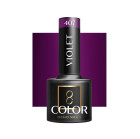 Hibridinis gelinis lakas Ocho Violet 407, 5 g