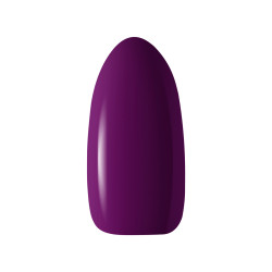 Hibridinis gelinis lakas Ocho Violet 407, 5 g