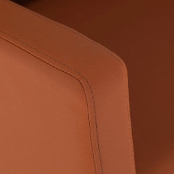 Kirpyklinė plautuvė Gabbiano Vitoria ruda