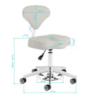 Meistro kėdė Azzurro 156-F, pilka | Grožio salonams