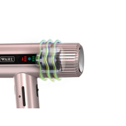 WAHL Vanquish 4321-0471 – profesionalus džiovintuvas