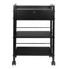 Kosmetologinis staliukas Pro Ink 1019A juodas salonams