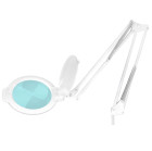 LED lempa lupa Moonlight 8012/5' su stovu, balta