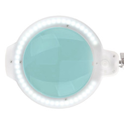 LED lempa lupa Moonlight 8012/5' su stovu, balta
