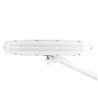 Kosmetologinė LED lempa Elegante 801-s, balta