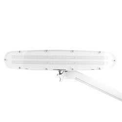 Kosmetologinė lempa LED ELEGANTE 801-TL | GrožioSalonams.lt