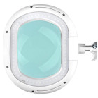 LED lempa-lupa Elegante 6028 60 su reguliuojamu šviesumu